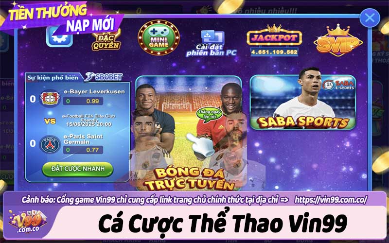 Cá cược Thể thao Vin99 | Chơi Sport thỏa mãn đam mê bóng đá