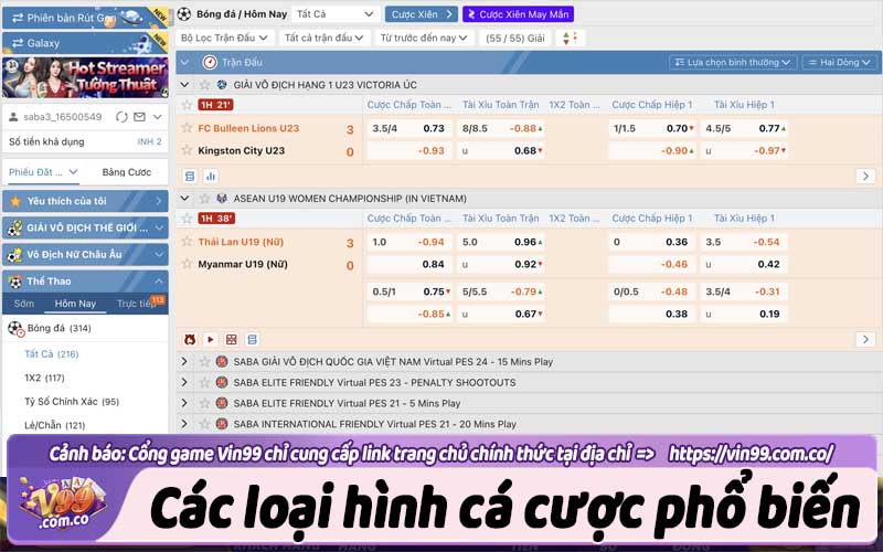 Các loại hình cá cược phổ biến tại Sport Vin99